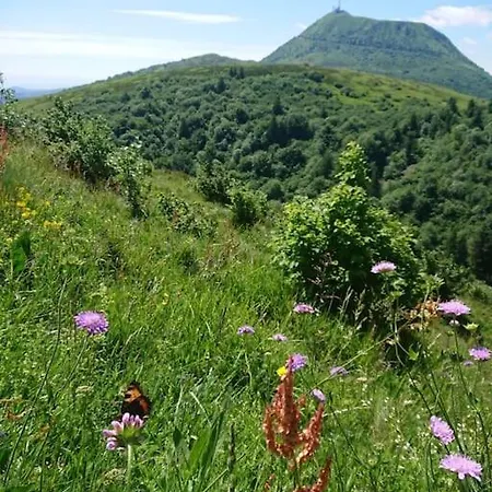 Holiday home Coeur De Volcan